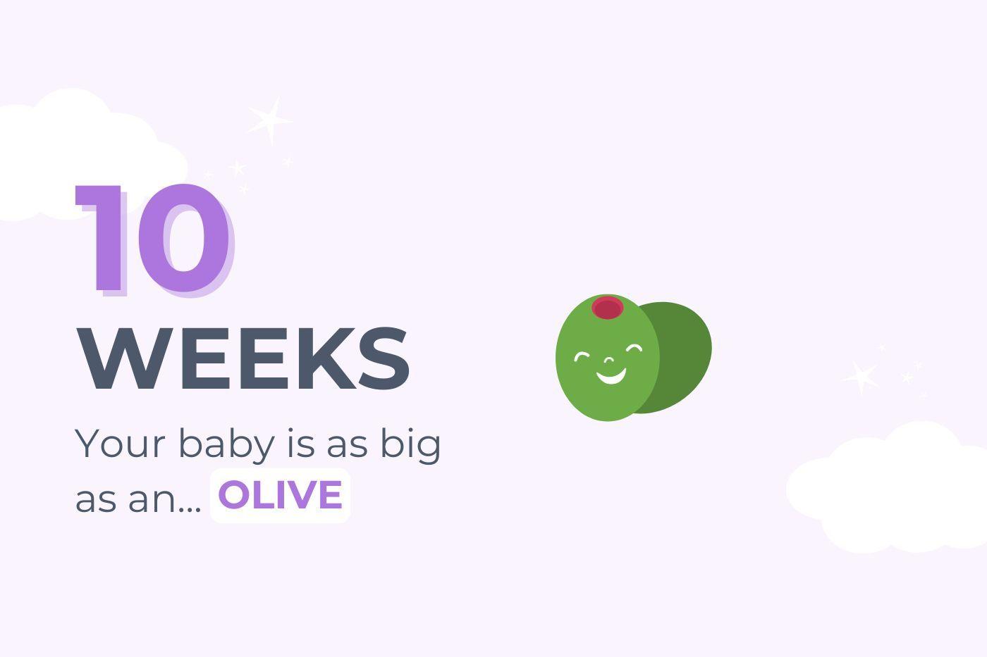 10-weeks-pregnant-your-baby-is-as-big-as-an-olive