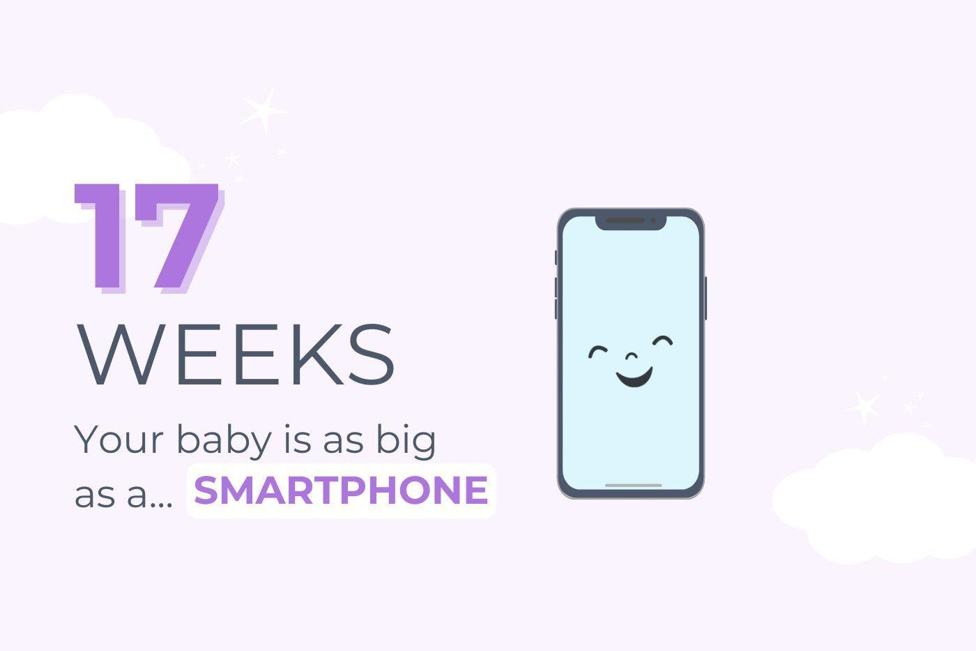 17-weeks-pregnant-your-baby-is-as-big-as-a-smart-phone