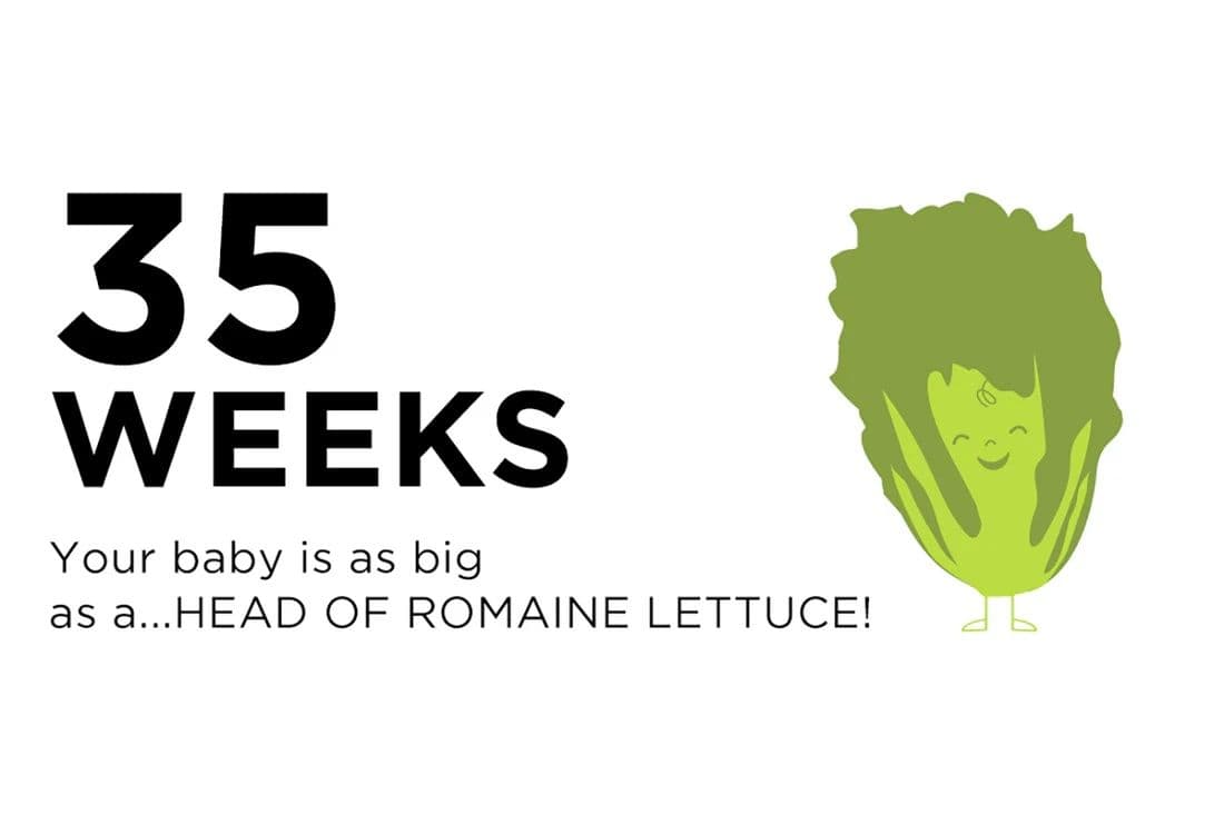 Incinta di 35 settimane
