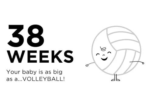 38 settimane di gravidanza: parliamo del parto